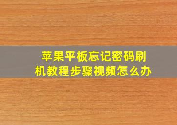 苹果平板忘记密码刷机教程步骤视频怎么办