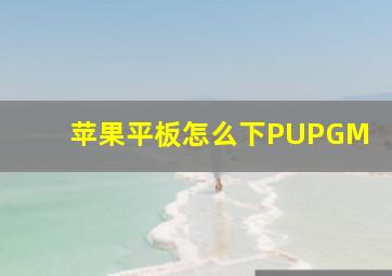 苹果平板怎么下PUPGM