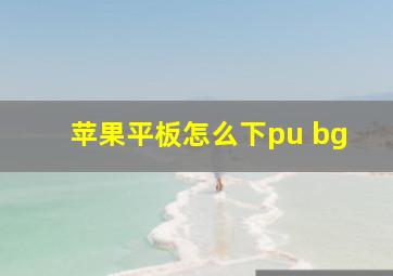 苹果平板怎么下pu bg