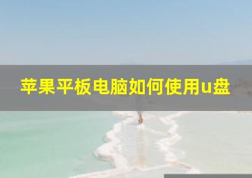 苹果平板电脑如何使用u盘