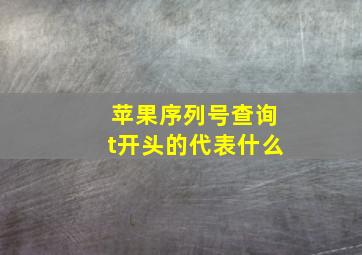 苹果序列号查询t开头的代表什么