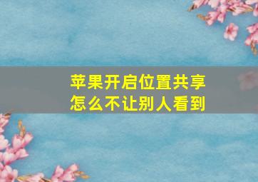 苹果开启位置共享怎么不让别人看到