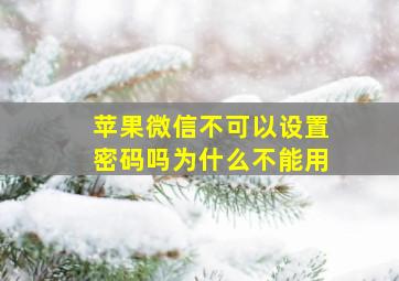 苹果微信不可以设置密码吗为什么不能用