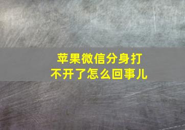 苹果微信分身打不开了怎么回事儿