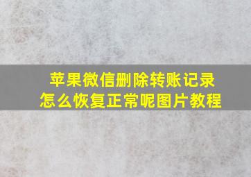 苹果微信删除转账记录怎么恢复正常呢图片教程