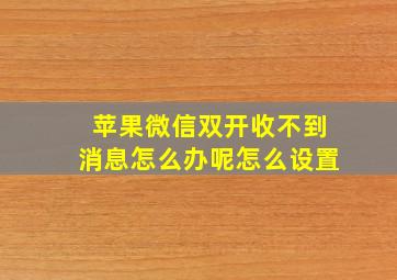 苹果微信双开收不到消息怎么办呢怎么设置