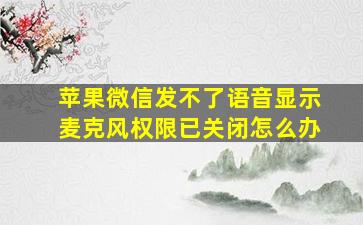 苹果微信发不了语音显示麦克风权限已关闭怎么办