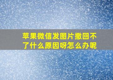 苹果微信发图片撤回不了什么原因呀怎么办呢