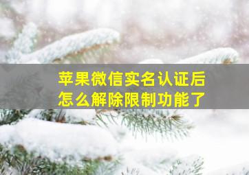 苹果微信实名认证后怎么解除限制功能了