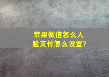 苹果微信怎么人脸支付怎么设置?