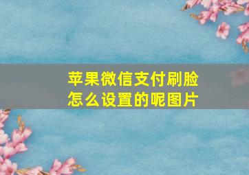 苹果微信支付刷脸怎么设置的呢图片