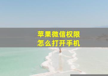 苹果微信权限怎么打开手机