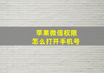 苹果微信权限怎么打开手机号