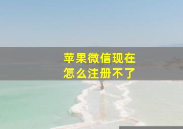 苹果微信现在怎么注册不了