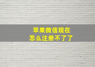 苹果微信现在怎么注册不了了