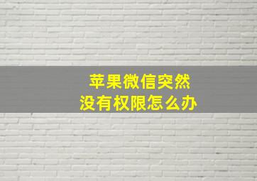 苹果微信突然没有权限怎么办