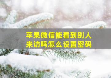 苹果微信能看到别人来访吗怎么设置密码