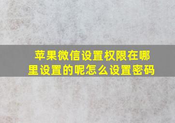 苹果微信设置权限在哪里设置的呢怎么设置密码