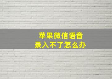 苹果微信语音录入不了怎么办