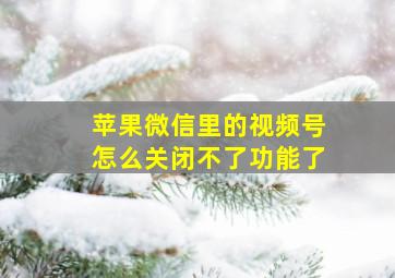 苹果微信里的视频号怎么关闭不了功能了