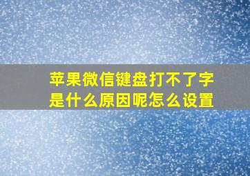 苹果微信键盘打不了字是什么原因呢怎么设置