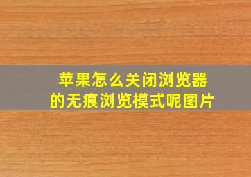 苹果怎么关闭浏览器的无痕浏览模式呢图片