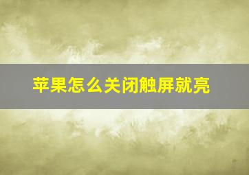 苹果怎么关闭触屏就亮