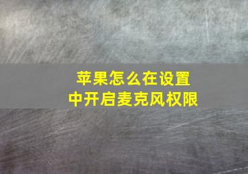 苹果怎么在设置中开启麦克风权限