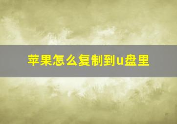 苹果怎么复制到u盘里