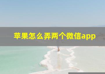 苹果怎么弄两个微信app