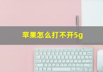 苹果怎么打不开5g