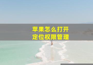 苹果怎么打开定位权限管理