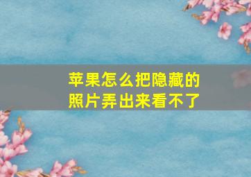 苹果怎么把隐藏的照片弄出来看不了