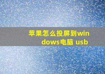 苹果怎么投屏到windows电脑 usb