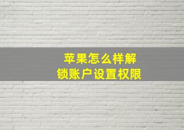 苹果怎么样解锁账户设置权限