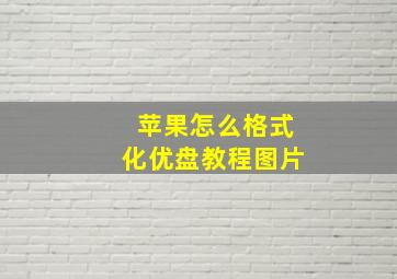 苹果怎么格式化优盘教程图片