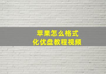 苹果怎么格式化优盘教程视频