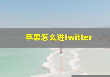 苹果怎么进twitter