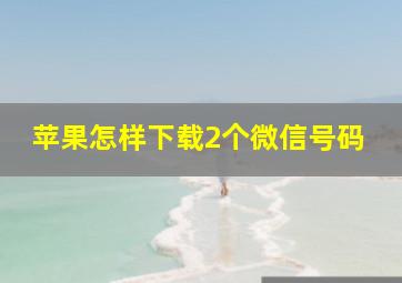 苹果怎样下载2个微信号码