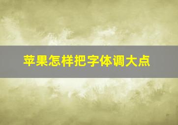 苹果怎样把字体调大点