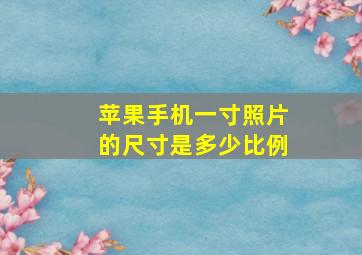 苹果手机一寸照片的尺寸是多少比例