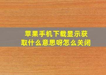 苹果手机下载显示获取什么意思呀怎么关闭