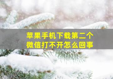 苹果手机下载第二个微信打不开怎么回事