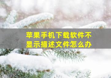 苹果手机下载软件不显示描述文件怎么办