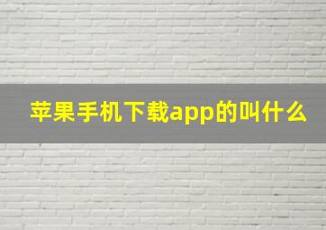 苹果手机下载app的叫什么