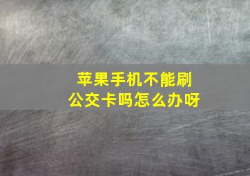 苹果手机不能刷公交卡吗怎么办呀