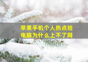 苹果手机个人热点给电脑为什么上不了网