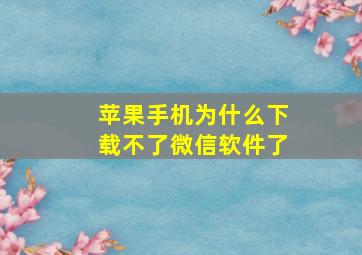 苹果手机为什么下载不了微信软件了