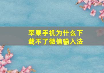 苹果手机为什么下载不了微信输入法