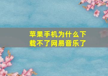 苹果手机为什么下载不了网易音乐了